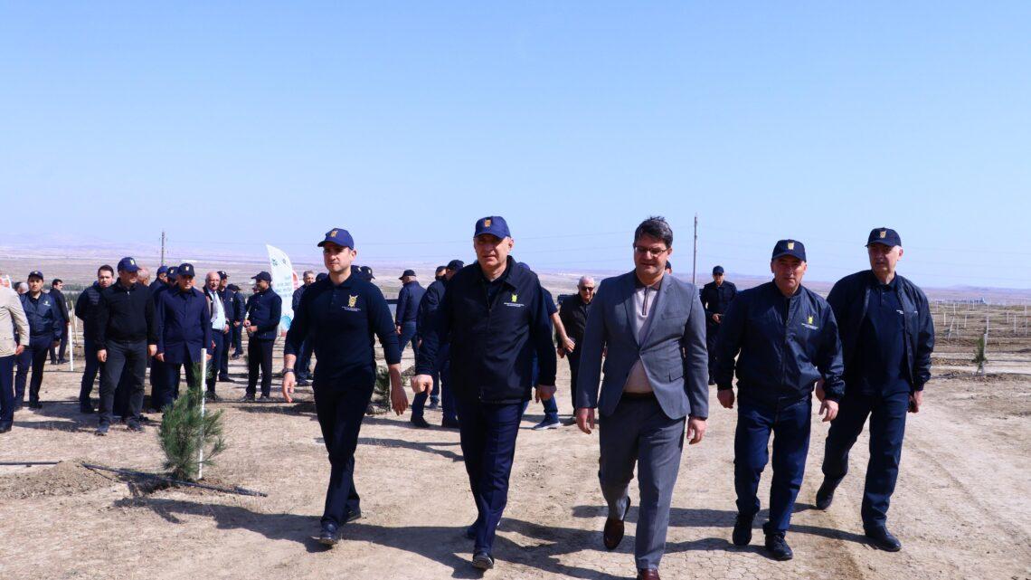 Prokurorluq əməkdaşları növbəti ağacəkmə kampaniyası keçirib